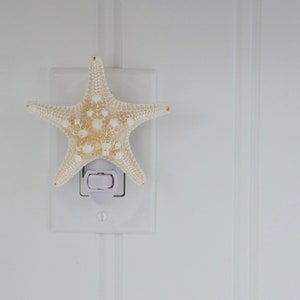 Starfish Plug In Night Light image 2