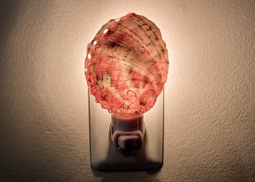 Abalone Shell Night Light Etsy