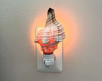 Strombus Shell Night Light