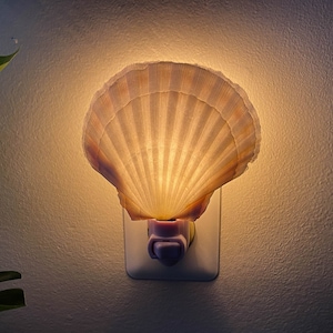 Scallop Shell Plug In Night Light