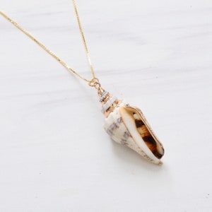 Gold Plated Trim Conch Shell Pendant Necklace image 2