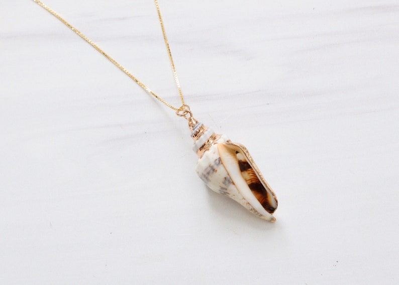 Gold Plated Trim Conch Shell Pendant Necklace image 2