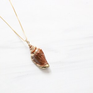 Gold Plated Trim Conch Shell Pendant Necklace image 3