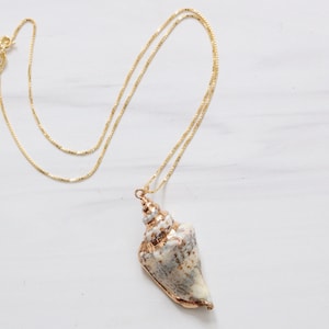 Gold Plated Trim Conch Shell Pendant Necklace image 1