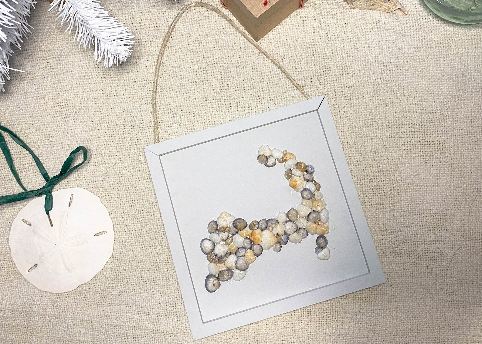 Cape Cod Shaped Shell Wall Decor 8 X 8 - Etsy