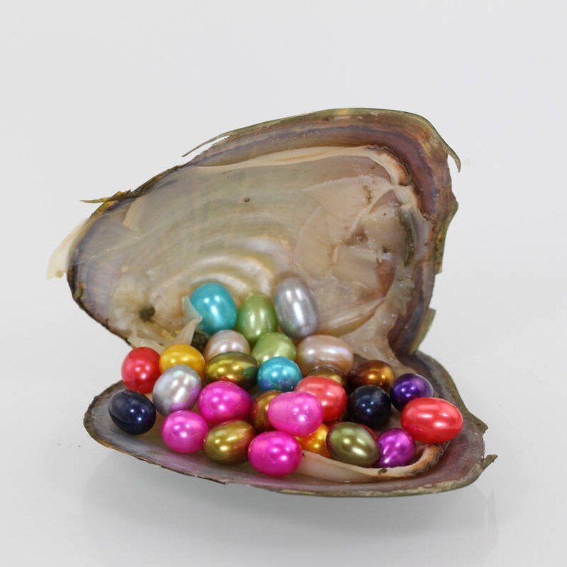 100 pcs Twins 7-8mm AAAA Oval Freshwater pearl oysters with pearls,oyster twins pearl,Birthday birthday party,birthday gift MX001