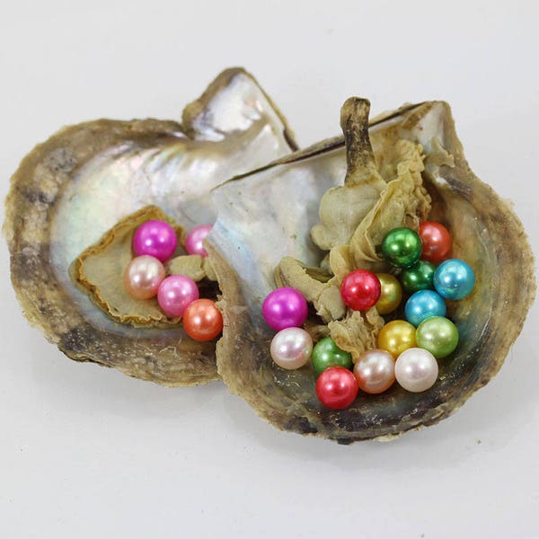 10 Pcs Mix color AAAA Pearl Beads,Nature pearl beads,Fit Akoya Oyster High Quality- LP001