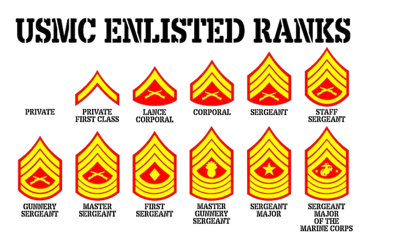 Marine Corps Enlisted Ranks Chart Hot Sex Picture