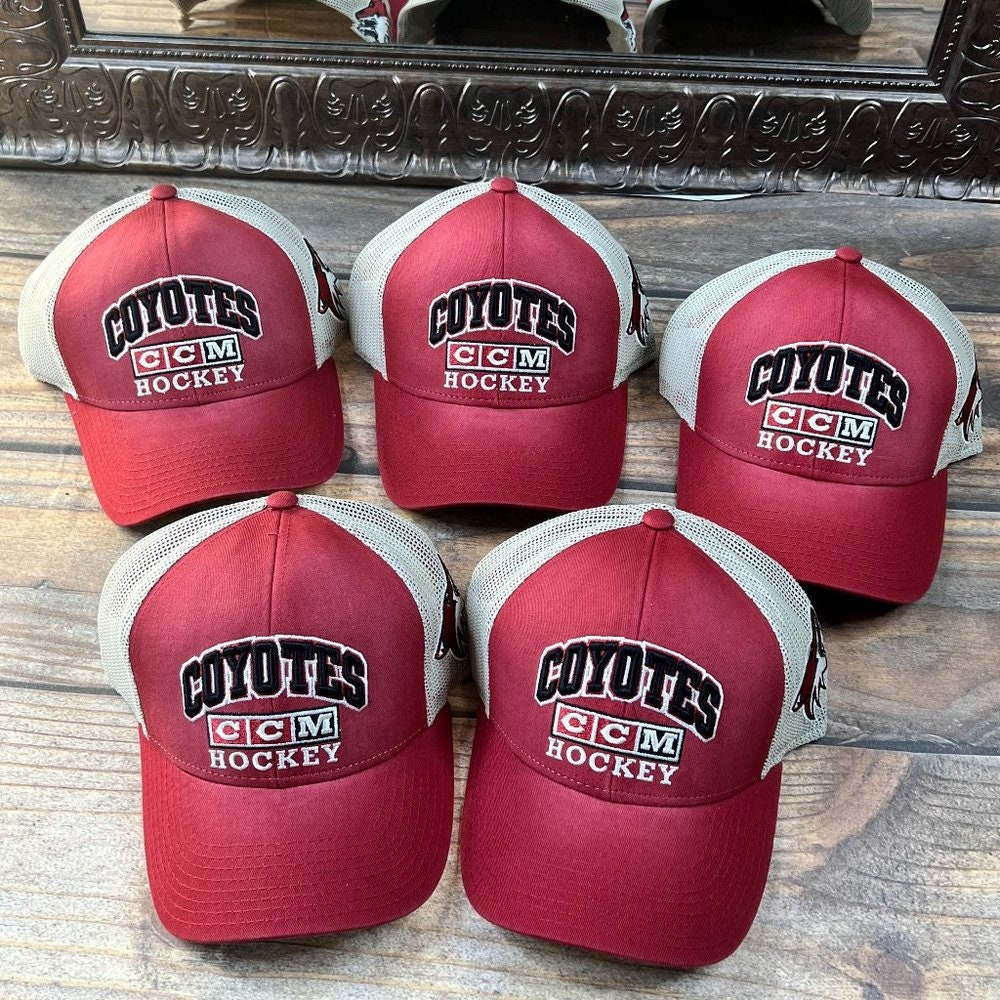 NHL Arizona Coyotes Vintage ‘47 L “Perfect Fit” Franchise TB Logo Hat Cap 