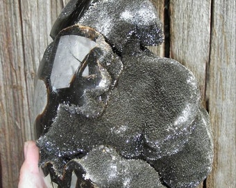 Gran huevo septario/Piedra de dragón/Fósil