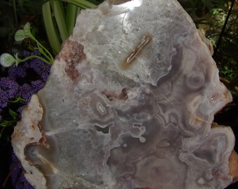 Amatista Rosa / Amatista Rosa