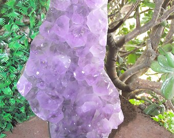 Racimo de llamas de amatista/Amatista grande/Amatista natural