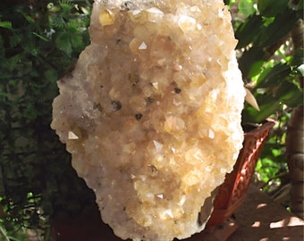 Citrino en soporte / Citrino Ovalado / Piedra de Prosperidad / Piedra del Éxito / Cúmulo de Citrino