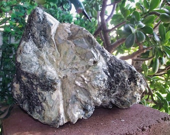 Cianita enorme/Cianita de 24 libras/Cianita extra grande