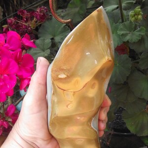 Jasper Flame / Carved Jasper Flame