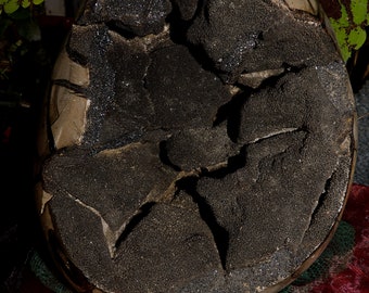 Huevo de Dragón Septario / Huevo de Dragón Septario Grande / Huevo de Dragón Natural / Huevo de Dragón Septario de 16 libras