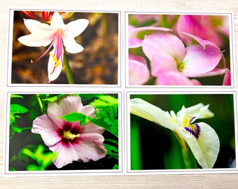 Pastel Flowers Card Set, Floral Blank Note Cards Featuring Original Photos, Hostess Gift