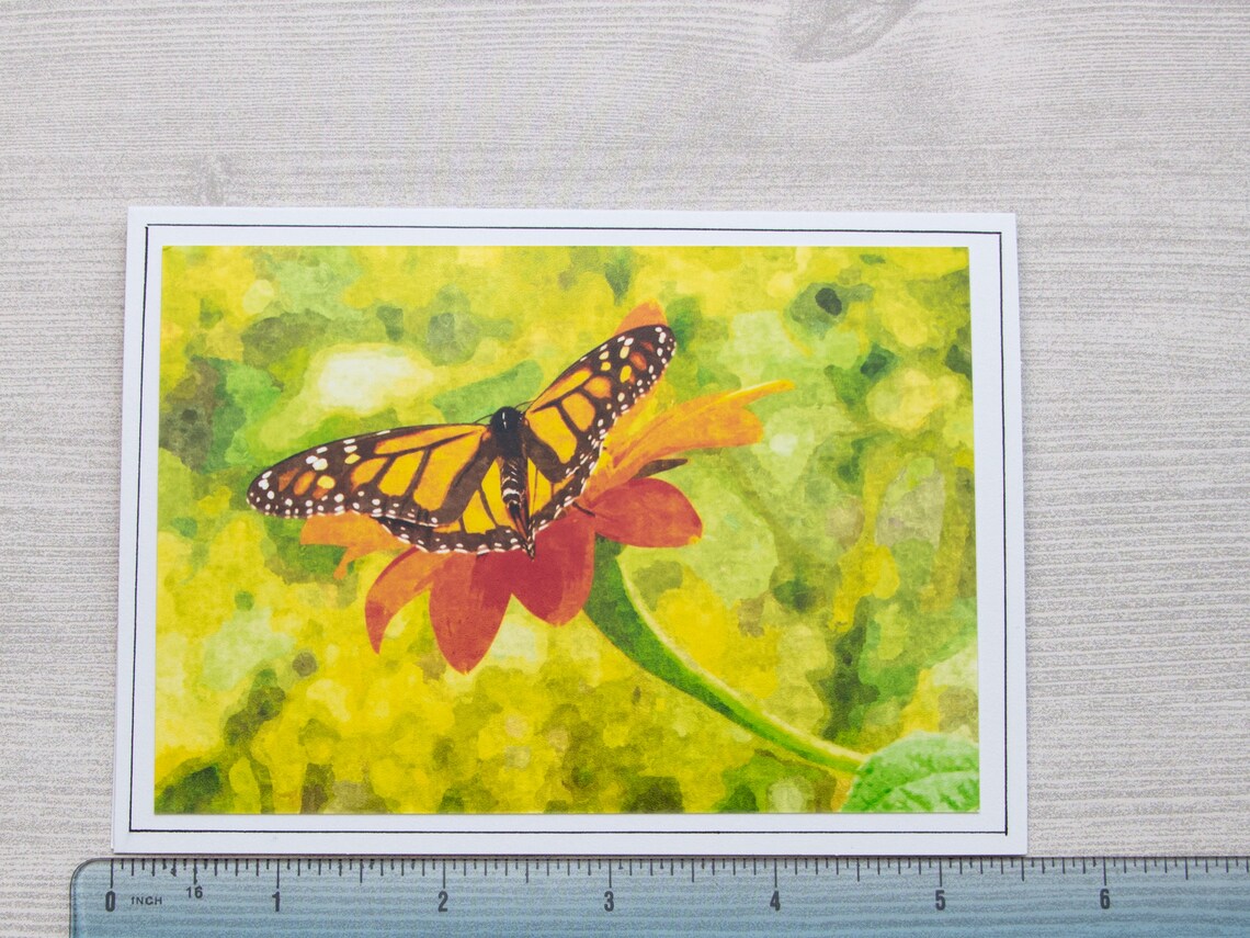 Butterfly Note Cards, Blank Photo Greeting Cards, Floral All Occasion ...