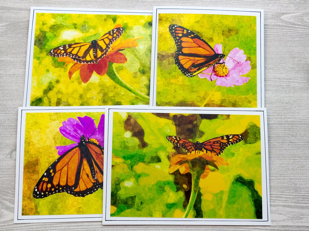 Butterfly Note Cards, Blank Photo Greeting Cards, Floral All Occasion ...