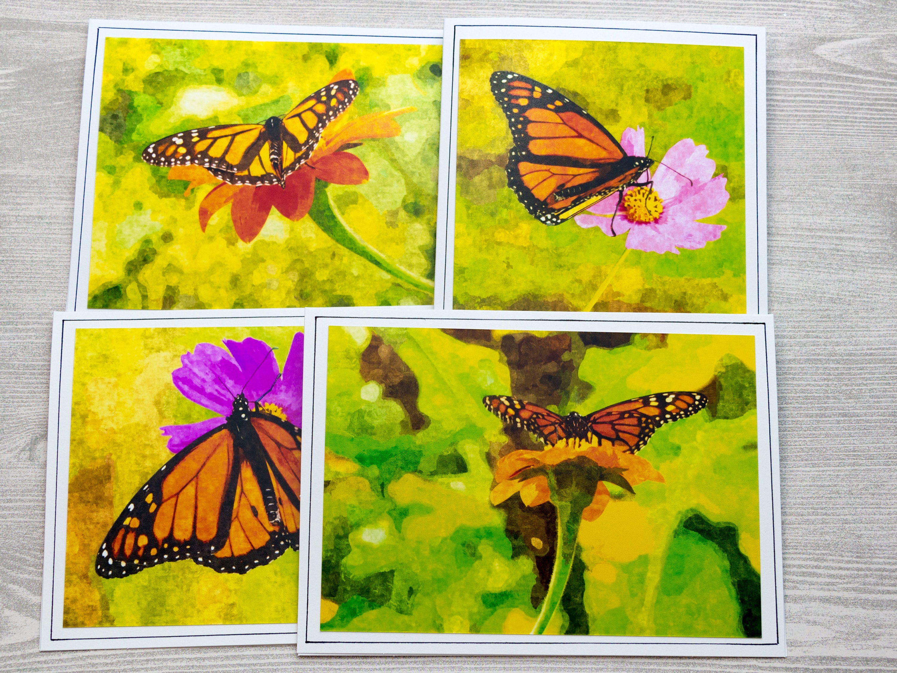 Butterfly Note Cards, Blank Photo Greeting Cards, Floral All Occasion ...