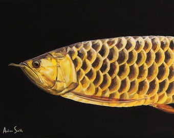 Arowana Painting and Prints - Original Art - Fish, Aquarium