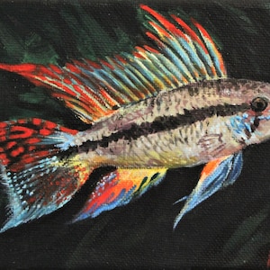 Cockatoo Cichlid Painting and Prints - Original Art - Fish, Aquarium