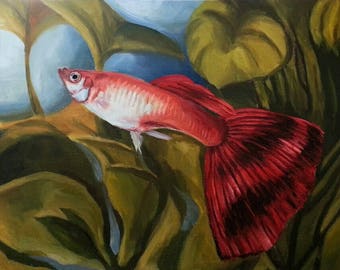Red Guppy Painting and Prints - Original Art - Fish, Aquarium