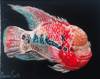 Flowerhorn Cichlid Painting and Prints