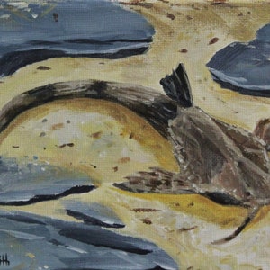 Banjo Catfish Painting and Prints - Original Art - Fish, Aquarium