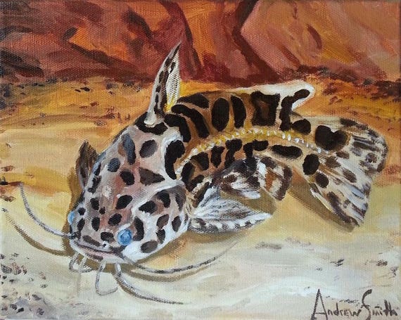 Jaguar Poisson Chat Peinture Et Estampes Etsy Jaguar Poisson Chat Peinture Et Estampes Etsy