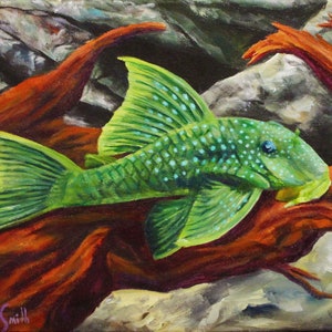 Phantom Pleco Painting and Prints - Original Art - Fish, Aquarium