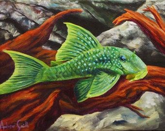 Phantom Pleco Painting and Prints - Original Art - Fish, Aquarium