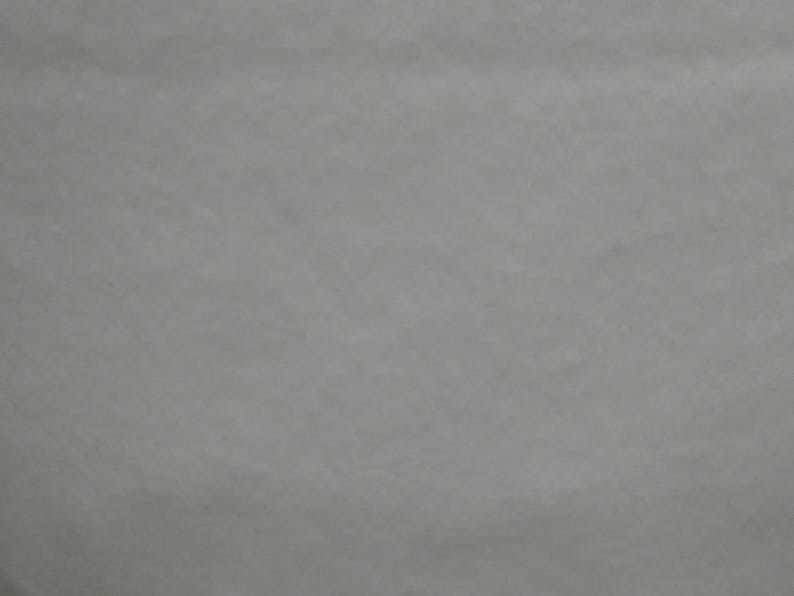 May include: A plain white background.