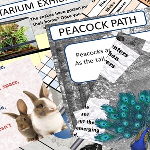Pdf Adventure At The Zoo Puzzle Hunt Escape Room Puzzle Book Etsy