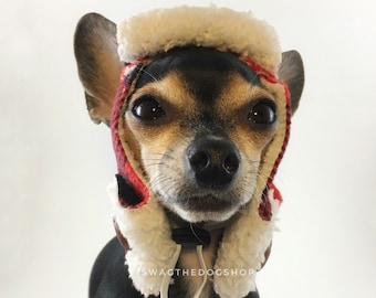 russian hat dog