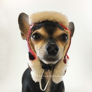 Dog with soviet hat shop