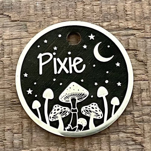 Collar Tags Money Dog Tag Pet Tag Custom Dog Tag Cat Etsy Canada