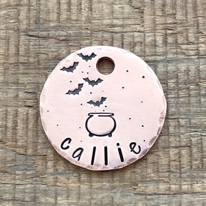 Witch Pet Tag, Cat Tag, Cat ID Tag, Personalized, Dog Id Tag, Engraved Cat Tag, Collar Tag, Custom ID Tag, Pet ID Tag, Microchipped, Small