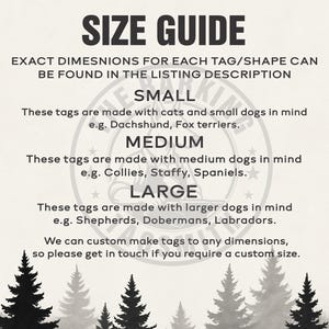a flyer for a dog grooming business