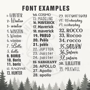 a black and white poster with the names of different font styles