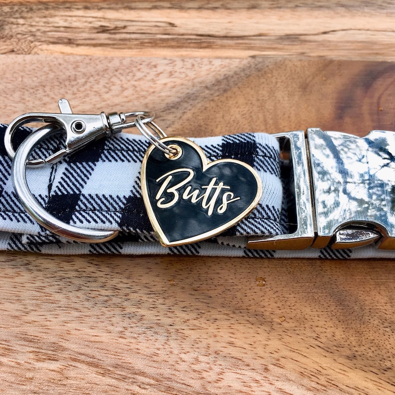 dog collar keychain