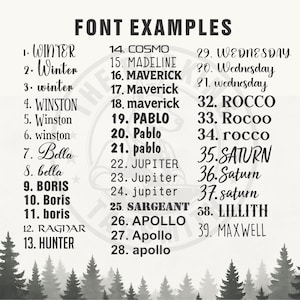 a black and white poster with the names of different font styles