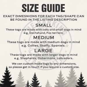 a flyer for a dog grooming business