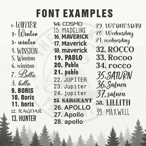 a black and white poster with the names of different font styles