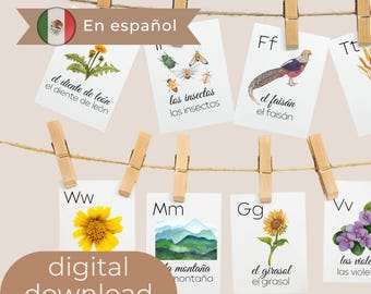 ALPHABET FLASH CARDS, Alphabet Cards, Back To School, Printable Spanish Nature Alphabet Cards, Preschool Printable Flash Cards Digital