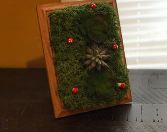 Succulent wall decor