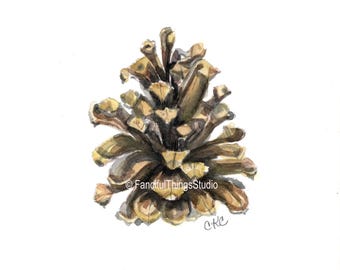 Pinecone Watercolor Print, Original Painting Art Card