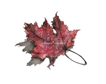 Red Maple Leaf