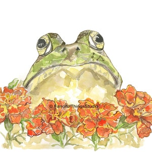 Frog and Marigolds