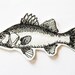 Fish. Applied shield embroidery patch fusible fish
